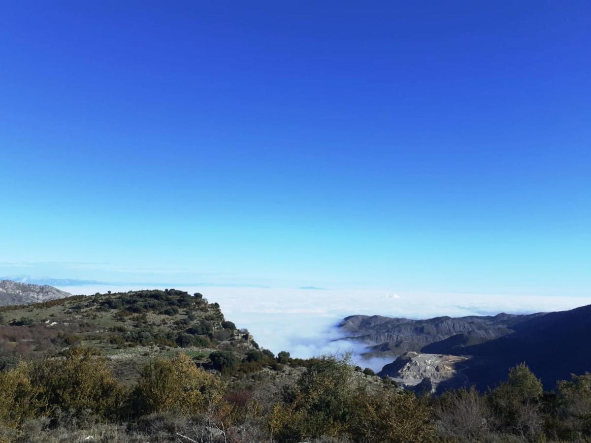 Casasdetrevijano Mirador De Mateo Villa Soto en Cameros Екстериор снимка